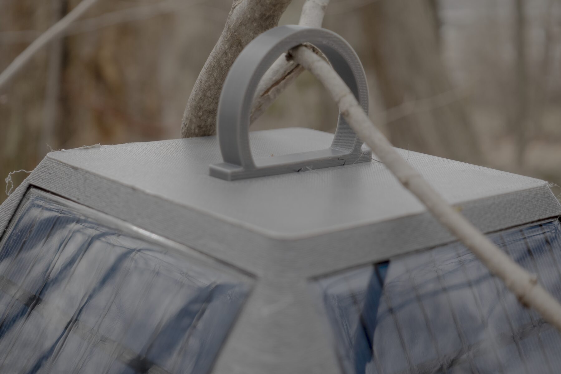 Close-up of the lantern node top hanging loop and roof cap mounted on a branch.